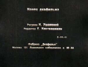 teremok29