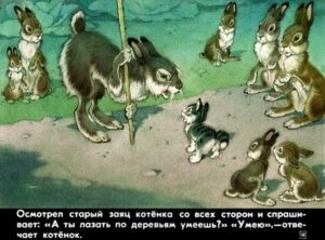 upryamyy-kotenok-22