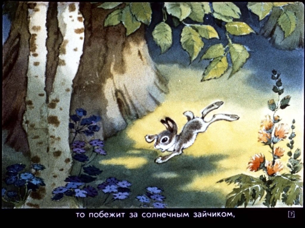 zaychonok-chernye-glazki-11