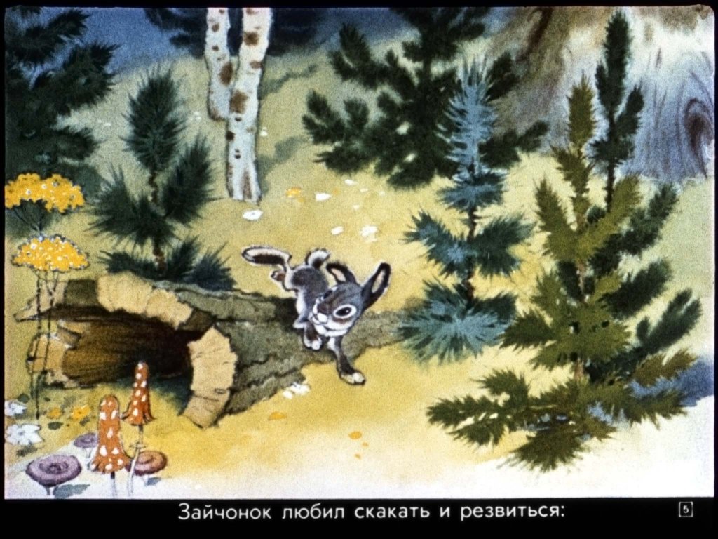 zaychonok-chernye-glazki-9