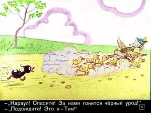 znamenityy-utenok-tim11