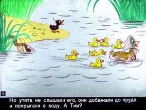 znamenityy-utenok-tim12