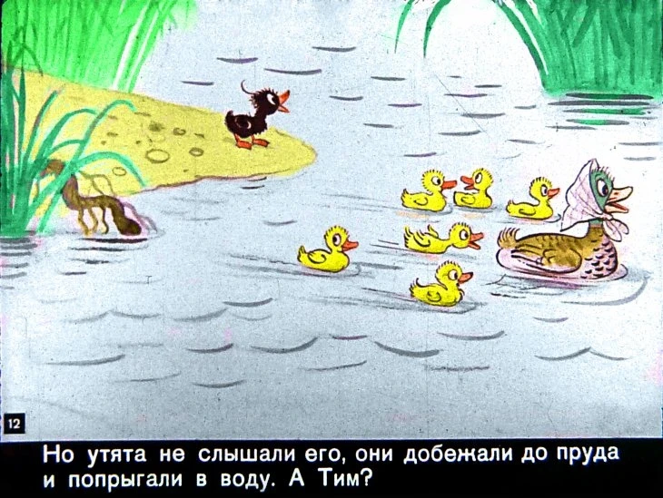 znamenityy-utenok-tim12
