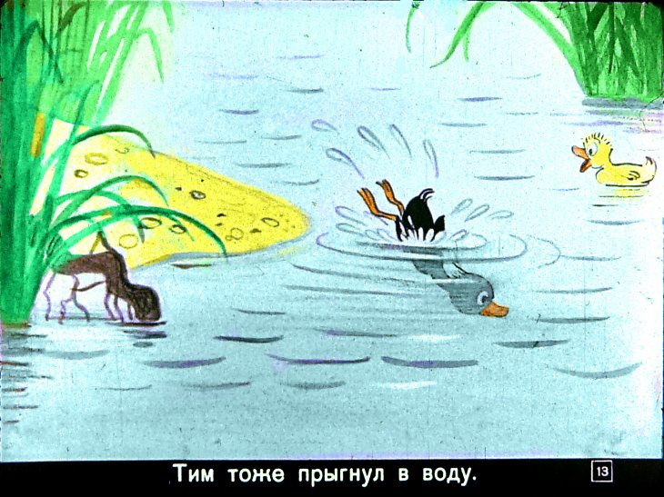 znamenityy-utenok-tim13