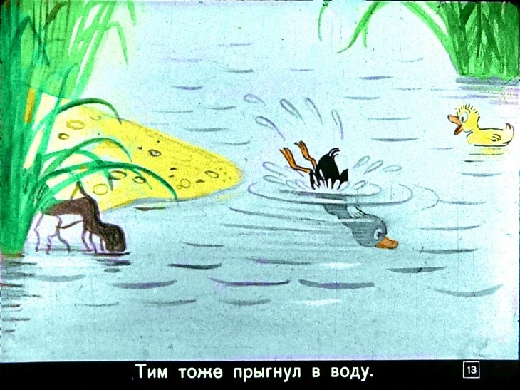 znamenityy-utenok-tim13