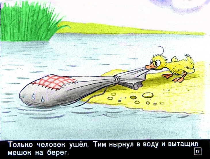 znamenityy-utenok-tim17