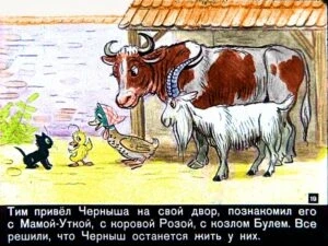 znamenityy-utenok-tim19