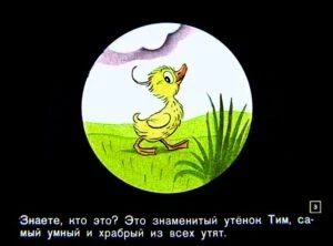 znamenityy-utenok-tim3