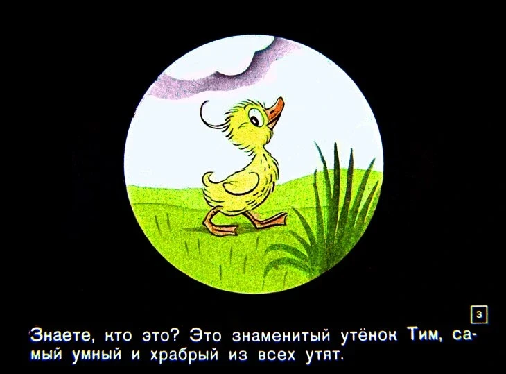 znamenityy-utenok-tim3