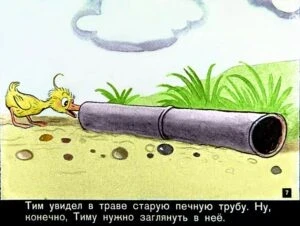 znamenityy-utenok-tim7