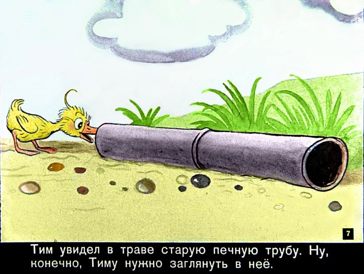 znamenityy-utenok-tim7