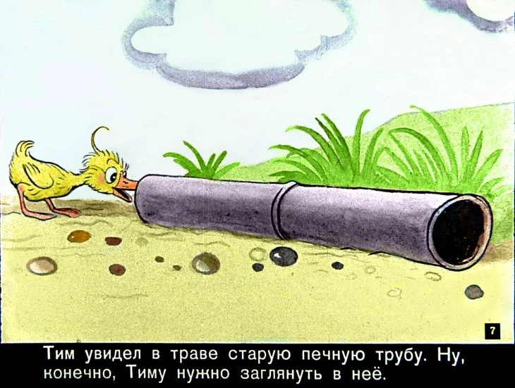 znamenityy-utenok-tim7