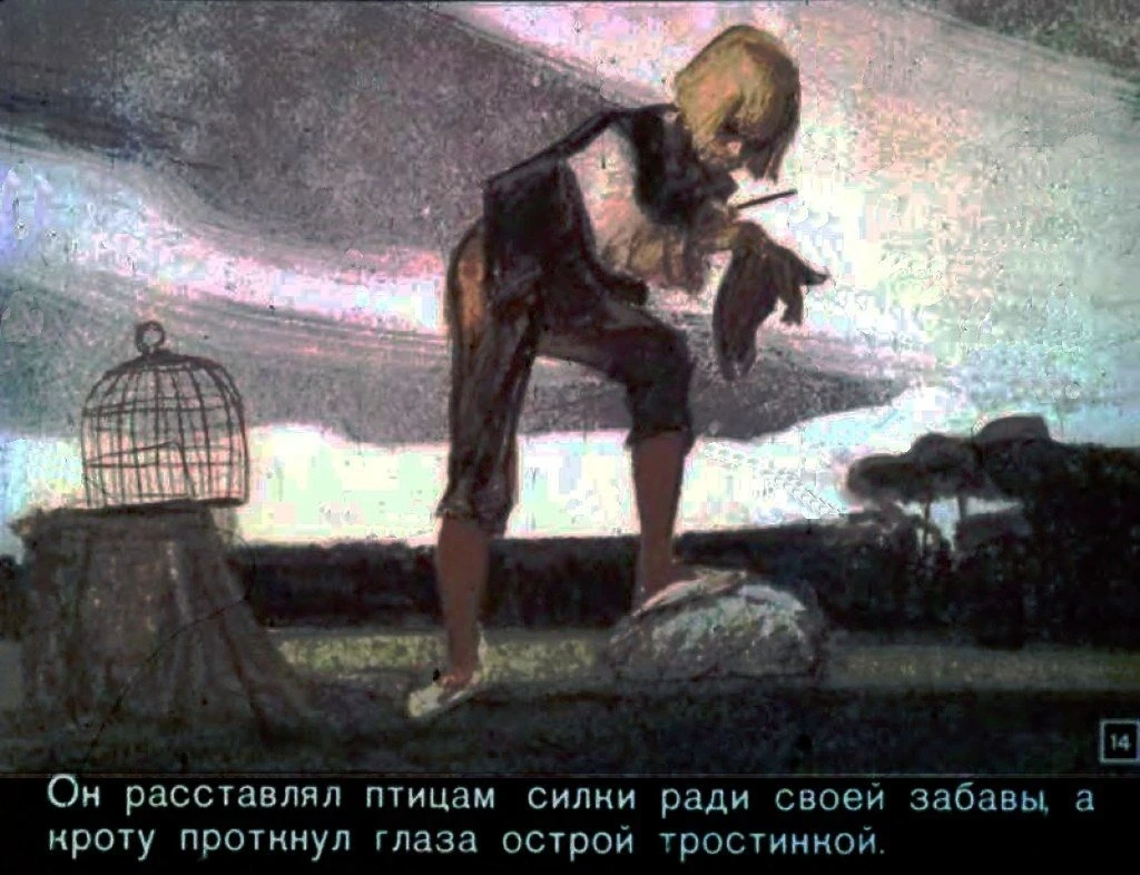 zvezdnyj-malchik-15