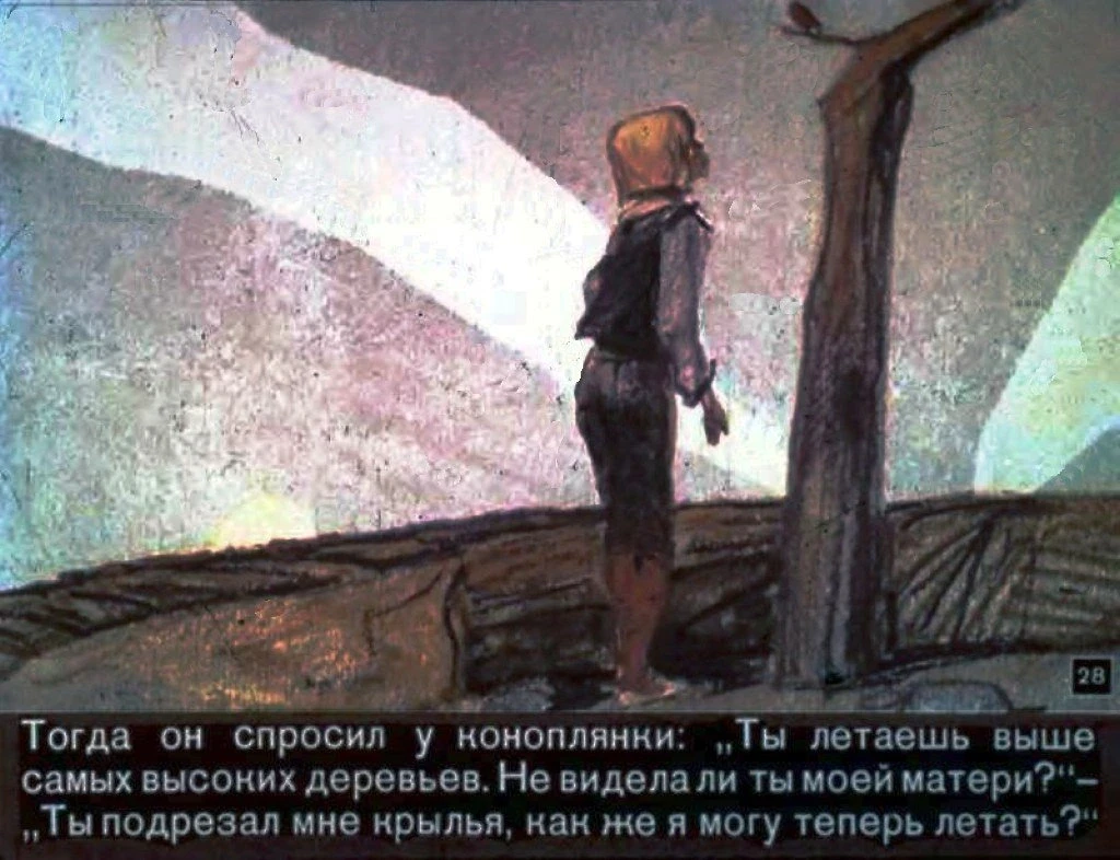 zvezdnyj-malchik-29