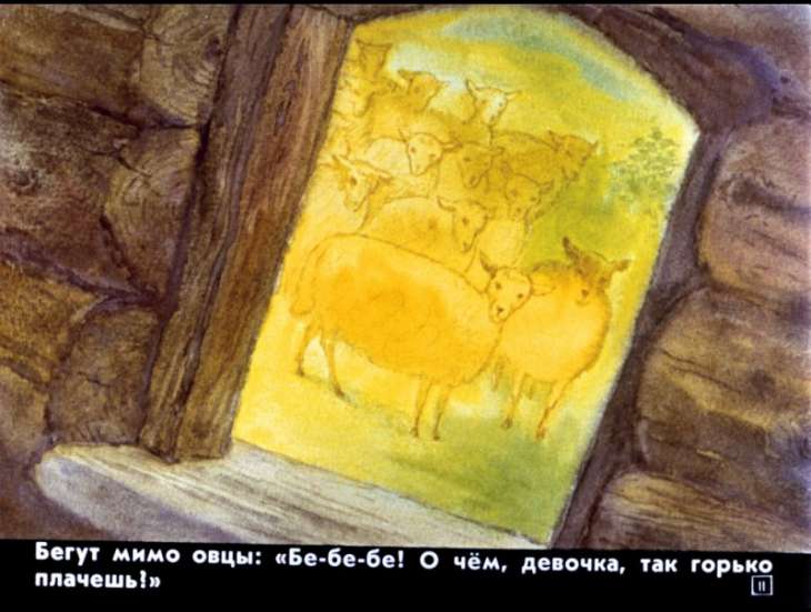 bychok-chernyy-bochok-12