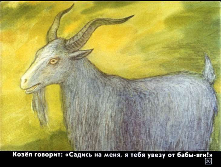 bychok-chernyy-bochok-21