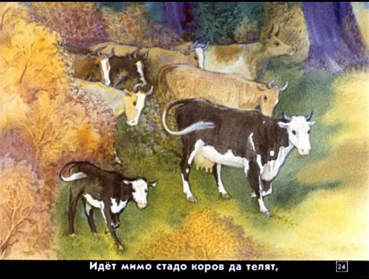 bychok-chernyy-bochok-25