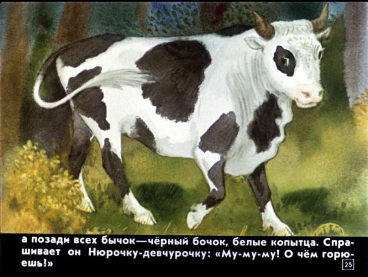 bychok-chernyy-bochok-26