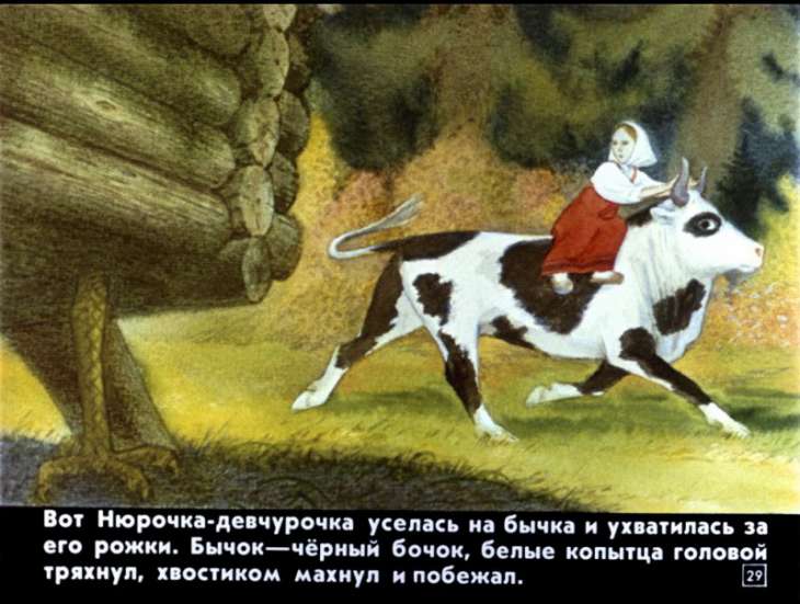 bychok-chernyy-bochok-30