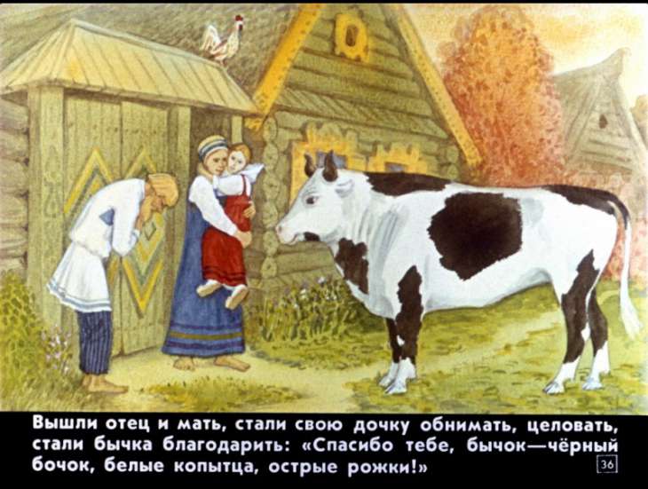 bychok-chernyy-bochok-37