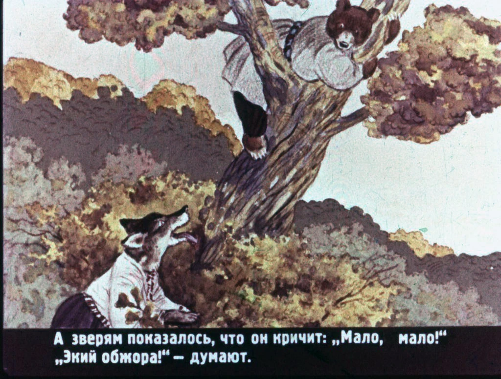 pan-kotofej-31