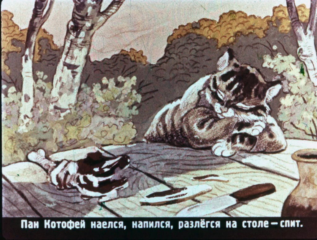 pan-kotofej-32