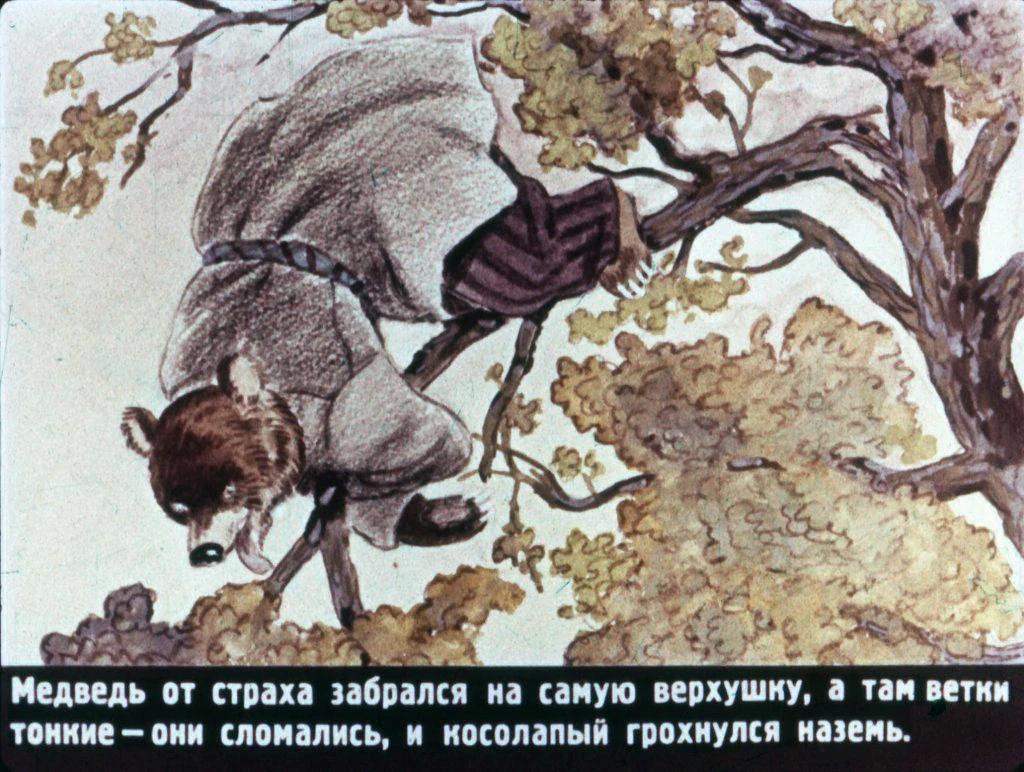 pan-kotofej-36
