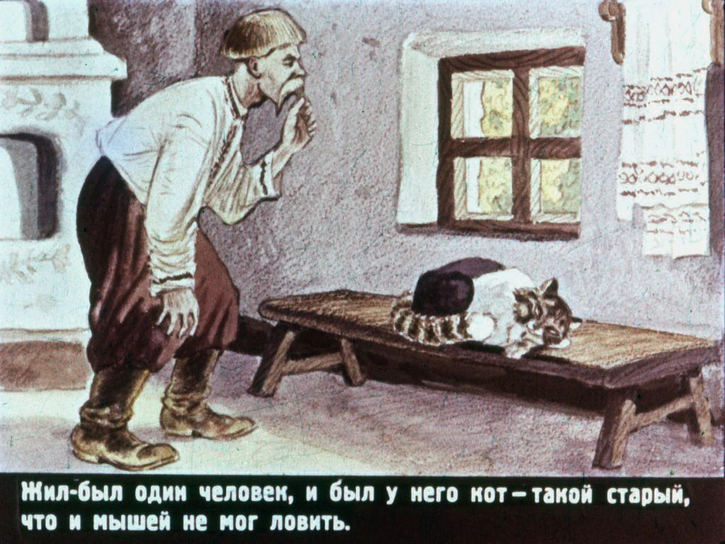 pan-kotofej-4