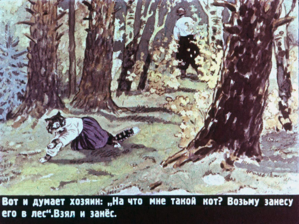 pan-kotofej-5