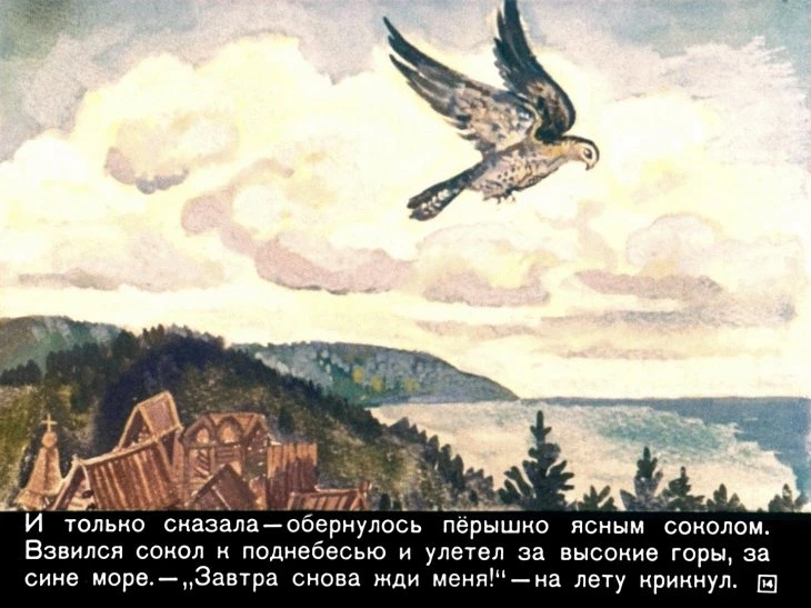peryshko-finista-16