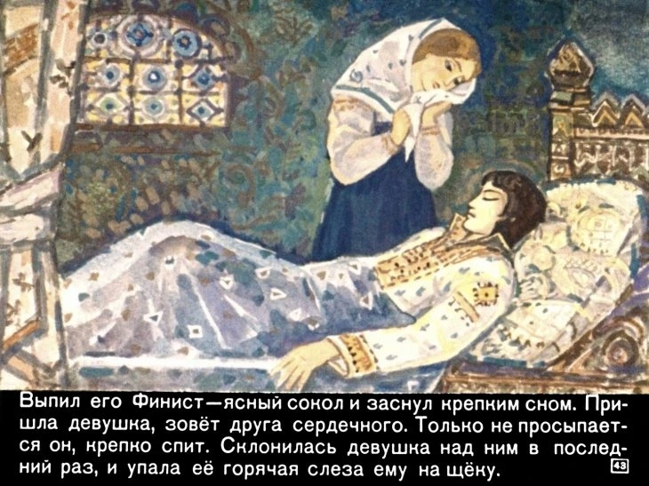 peryshko-finista-45