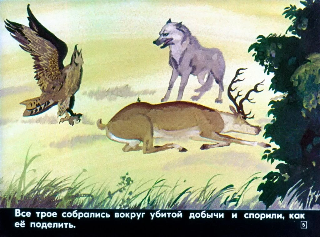 vozvraschenie-lja-rome-9