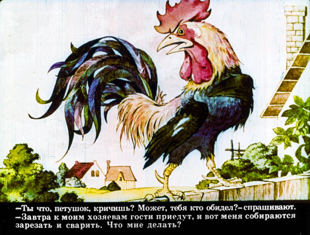 bremenskie-muzykanty-15