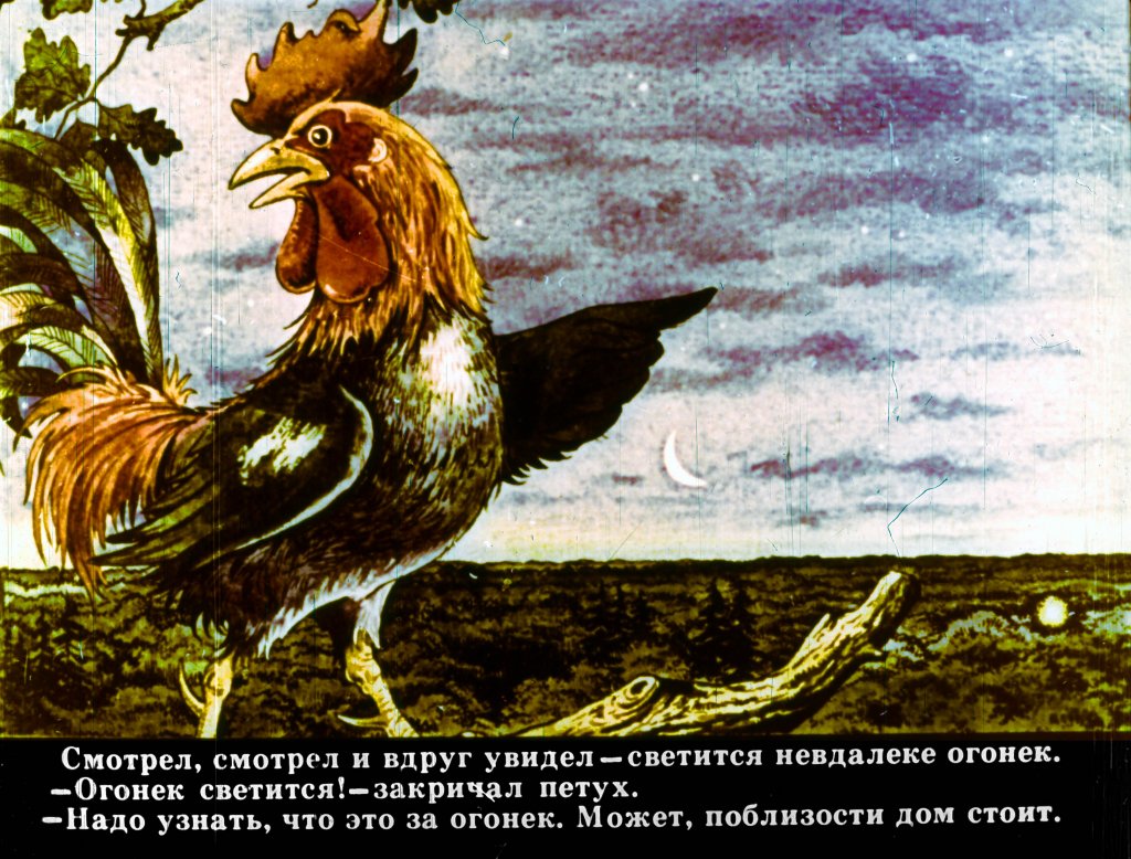 bremenskie-muzykanty-19