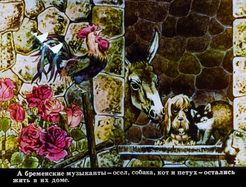 bremenskie-muzykanty-36
