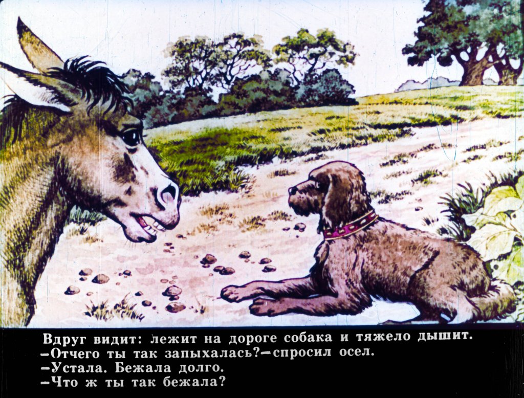 bremenskie-muzykanty-7