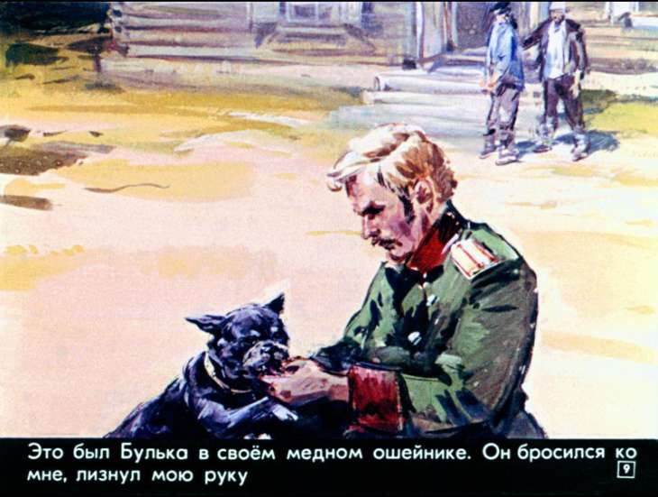 bulka-10