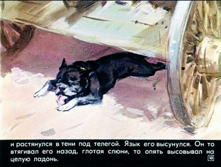 bulka-11