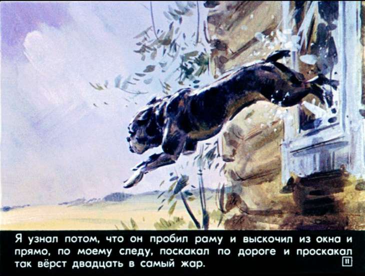 bulka-12