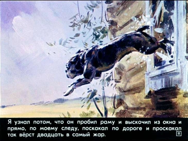 bulka-12