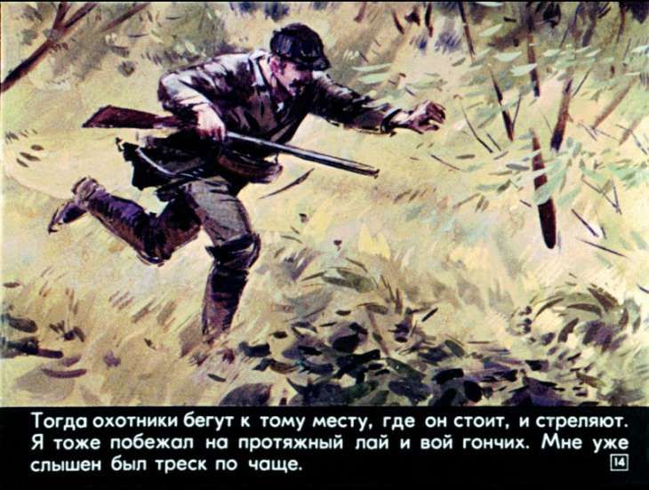 bulka-15