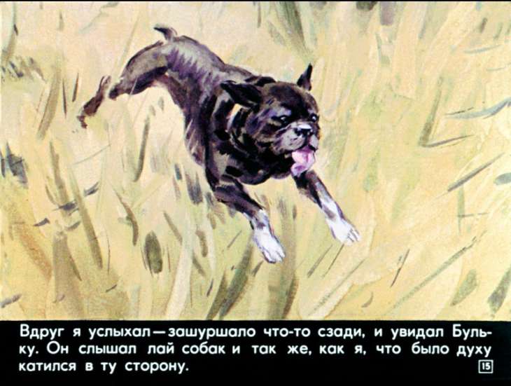 bulka-16
