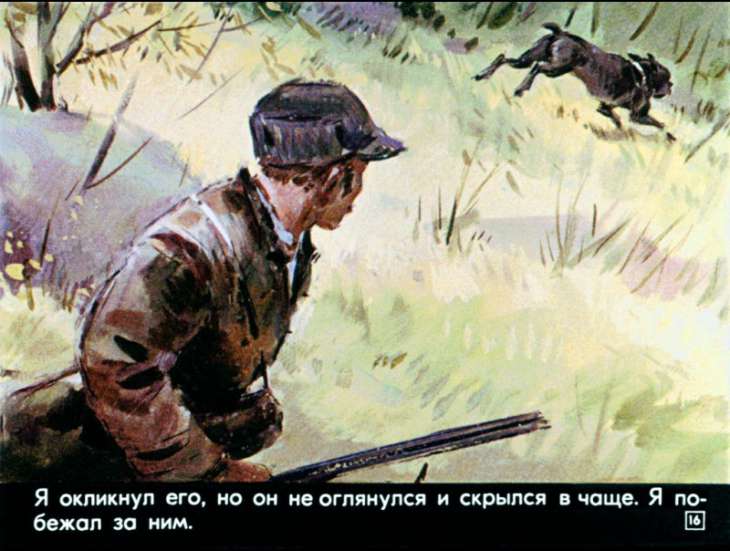 bulka-17