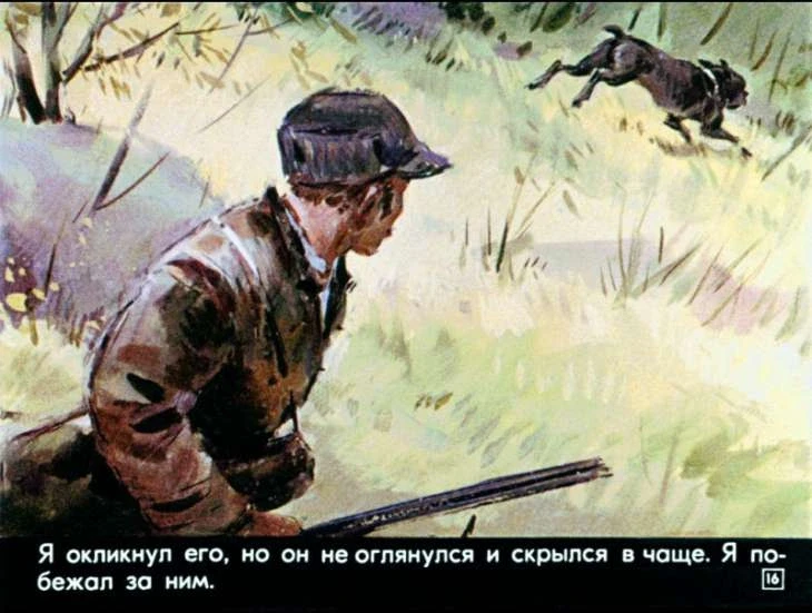 bulka-17