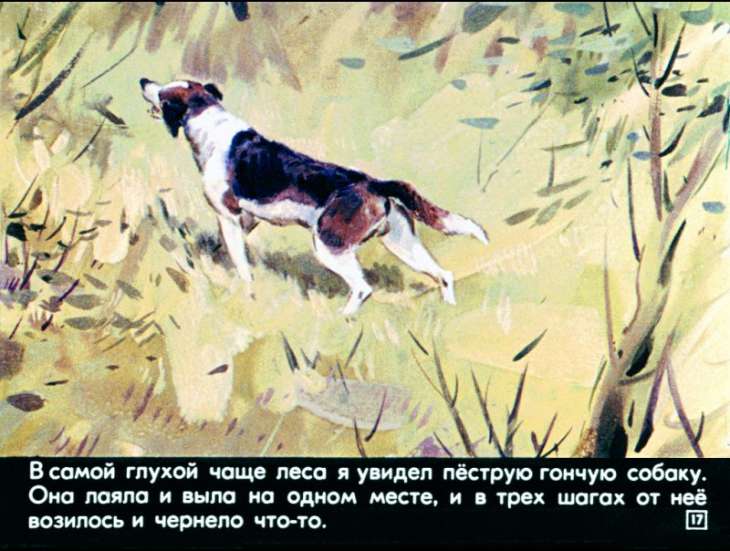 bulka-18