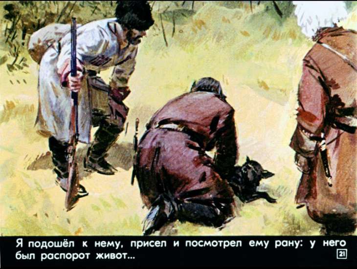 bulka-22