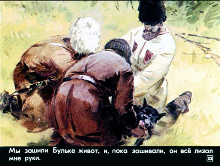 bulka-23