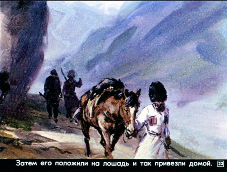 bulka-24
