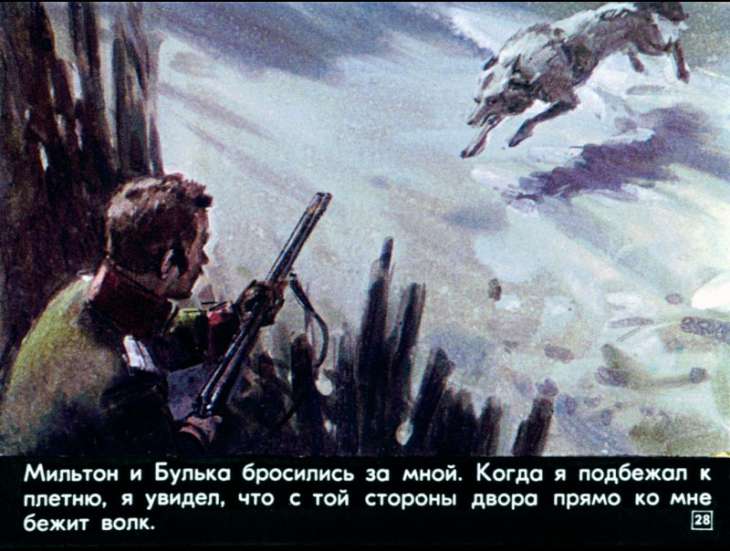 bulka-29
