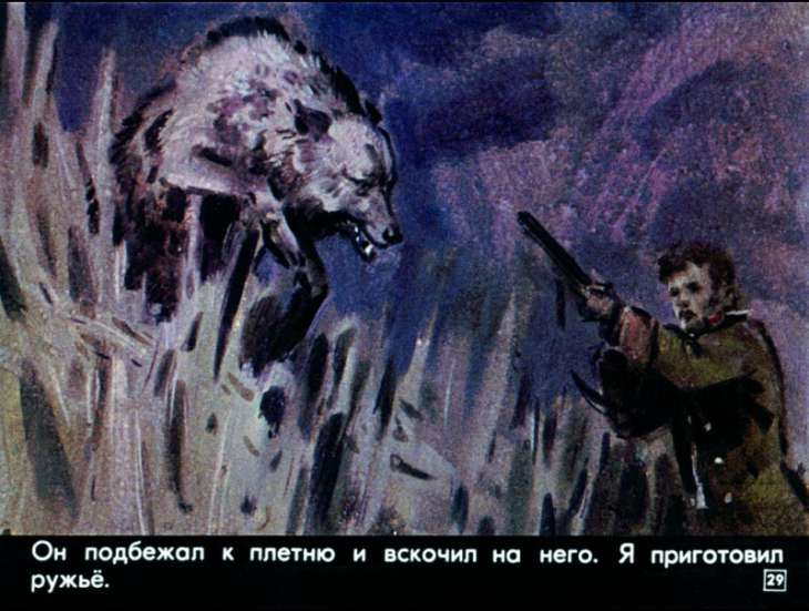 bulka-30